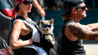 Results Are In: Sturgis Motorcycle Rally Was A COVID 'Super Spreader' Costing Billions